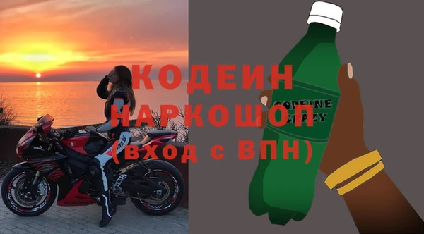 прущие грибы Абаза