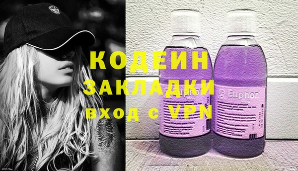 прущие грибы Абаза