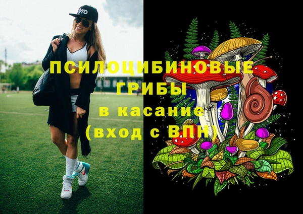 прущие грибы Абаза